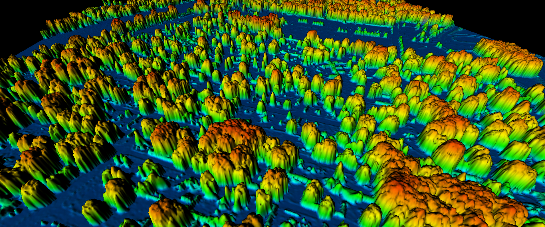 Canopy Height Model Mapping